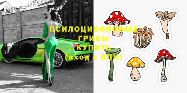 мяу мяу мука Алексин
